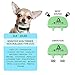 Our K9 Training Made Easy Bark Collar ​for ​Small Dog - ​Vibration No​ Shock, Rechargeable, Works in a Couple of Hours, ​Pain Free ​Control Device