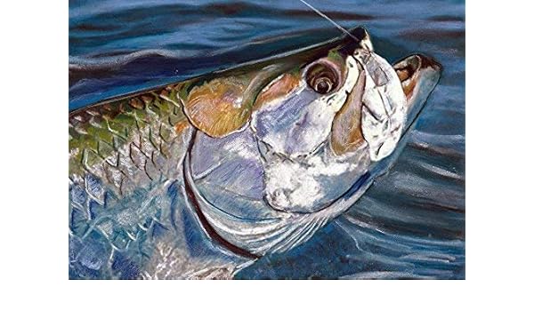 Amazon Com Tarpon On Wall Art Print Decor Saltwater Fish Gift
