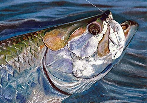 Amazon Com Tarpon On Wall Art Print Decor Saltwater Fish Gift