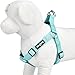 Blueberry Pet Essentials Step-in Dog Harness, Small Size | Adjustable Mint Blue Vest | Classic Solid Nylon for Boy & Girl Dogs, Chest Girth 16.5