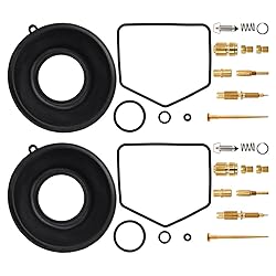 2-Pack Carburetor Carb Repair Rebuild kits