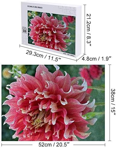 羽毛にピンクと白のダリア Flower 500pcsピース ジグソー パズル 木製 子供の贈り物 パズルアート集 子供の遊び 室内装飾 52x38cm B08b53wnm1 1 750円