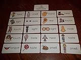 23 laminated Preschool 5 Senses Flashcards. Child educational learning activity. A Handmade teacher resource.
