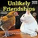 Unlikely Friendships Mini Wall Calendar 2016