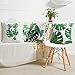 Anickal Tropical Leaves Decorations Set of 4 Soft Velvet Decorative Pillow Covers 18 x 18 with Tropical Palm Monstera Leaves Print for Summer Green Decor