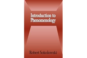 Introduction to Phenomenology