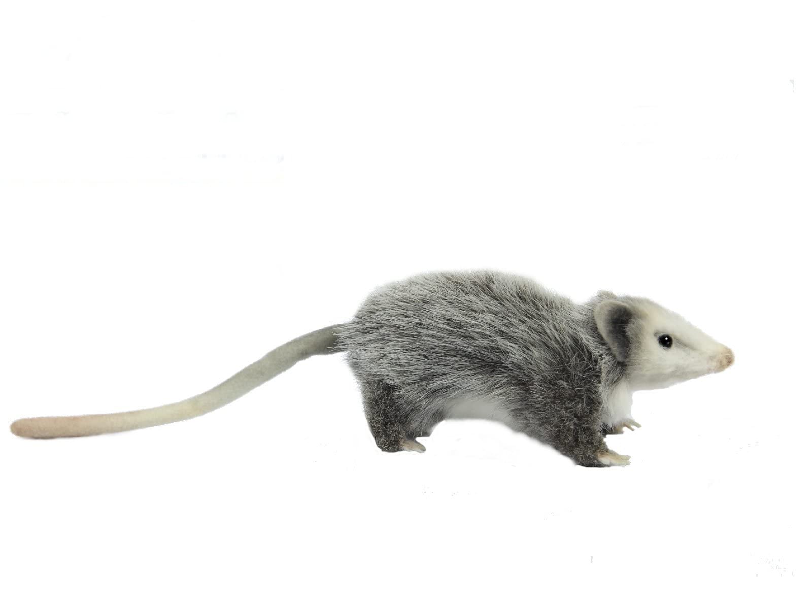 Hansa 8042 Opposum 23cm.L