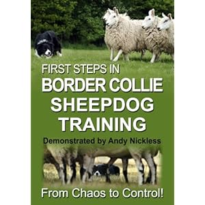 First Steps In Border Collie Sheepdog Training [DVD]