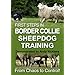 First Steps In Border Collie Sheepdog Training [DVD]