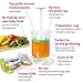 Fill n Squeeze Baby Weaning Set, Starter Pack