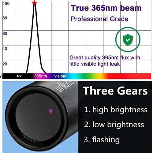 UV Flashlight Black Light USB Rechargeable 365 nm LED Ultraviolet