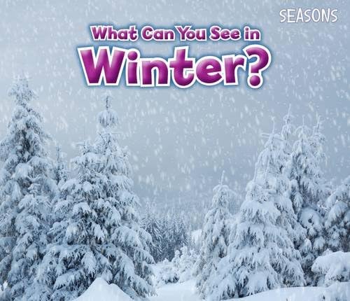 What Can You See In Winter? (Seasons)