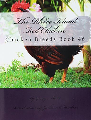 The Rhode Island Red Chicken: Chicken Breeds Book 46