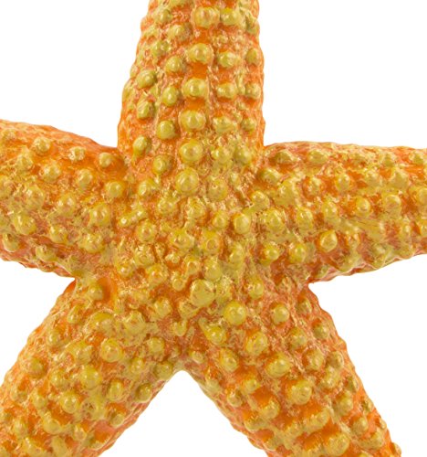 Safari Ltd Wild Safari Sea Life Starfish