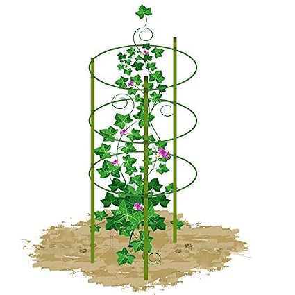 ecotrellis Mini enrejado jardín enrejado planta apoyo 5 Sets verde ...