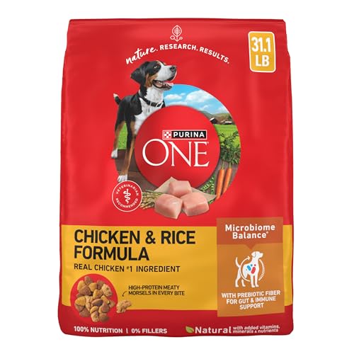 Purina ONE Chicken and Rice Dog Food