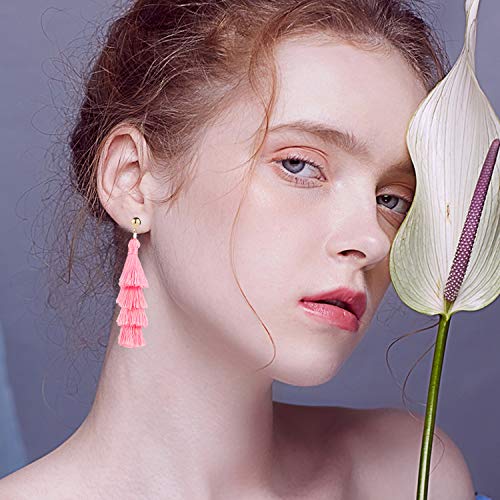NEWITIN 20 Pairs Tassel Earrings Bohemia Fan Shape Drop Earrings for Women Girls