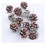 Natural Pine Cones, SOMAN 2.4 Inch Tall Real Snow Pinecones Ornaments for Christmas Decorations Set of 12