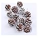 Natural Pine Cones, SOMAN 2.4 Inch Tall Real Snow Pinecones Ornaments for Christmas Decorations Set of 12