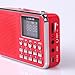 Mfine Portable Speaker AM/FM Radio Music Player Micro SD/TF Card For PC iPod Phone (938B Red)