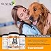 Renew Actives Organic Turmeric Joint Supplement for Dogs - Advanced Canine Support for Hip, Joint & Cartilage Health - Natural Mobility Formula with 120 Chewable Soft Treats