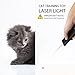 PISEN Wireless Presenter RF 2.4GHz Rechargeable USB PowerPoint Clicker Remote Control for Presentations with Mouse Mode & 2500mAh Emergency Power Bank