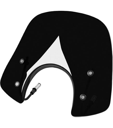 Amazon.com: Motorcycle Windscreen for Vespa Primavera 150 GTS250