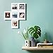 Polaroid Instant Film B&W for Image/Spectra, White (4679)