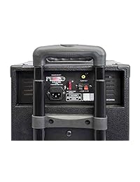 Pyle Pro   Altavoz inalámbrico para exteriores (800 W), sistema de sonido de subwoofer de 10 pulgadas con base de carga, batería recargable, radio, lector USB SD, micrófono, mando a distancia, ruedas, PWMA1090UI