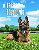 German Shepherds 2017 Calendar (Multilingual Edition)