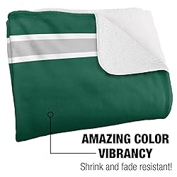 Loyola University Maryland Primary Logo Stripes