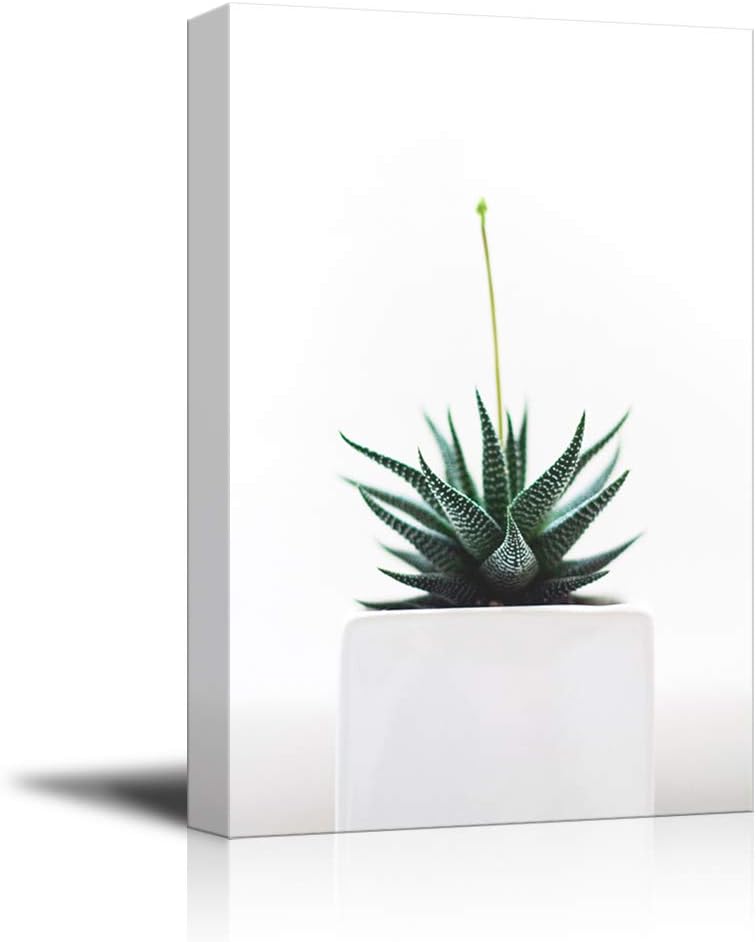 NWT Canvas Print Wall Art Striped Zebra Succulent in White Vase Floral Plants Photography Modern Art Southwest Closeup Colorful Multicolor Ultra for Living Room, Bedroom, Office - 24"x36"