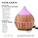 PRIBUY 200ml Humidifier, Humidifer with Bluetooth Speaker, 7 Color Soothing LED Lights, Ultrasonic Cool Mist Wood Grain Humidifier, Waterless Auto Shut-Off