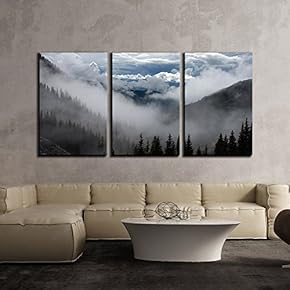 3 Piece Canvas Wall Art - Pine Trees Forest with Fog - Modern Home Art Stretched and Framed Ready to Hang - 16"x24"x3 Panels