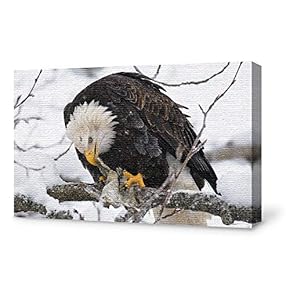 Canvas Wall Art for Living Room,Bedroom Home Artwork Paintings Snow Eagle Ready to Hang - 12x18 inches