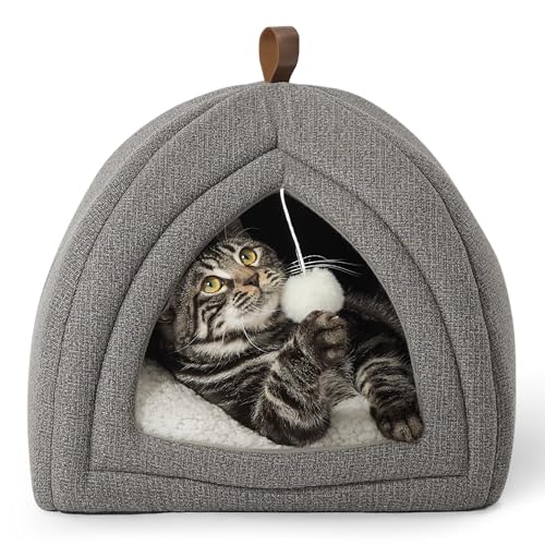 Bedsure 2-in-1 Cat Tent