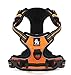 Chai's Choice Best Outdoor Adventure Dog Harness (Medium, Orange)