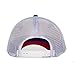 Pabst Blue Ribbon Embroidered Logo Hat Multicolored