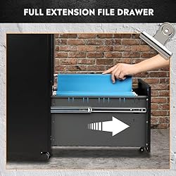 DEVAISE 2-Drawer Mobile File Cabinet with