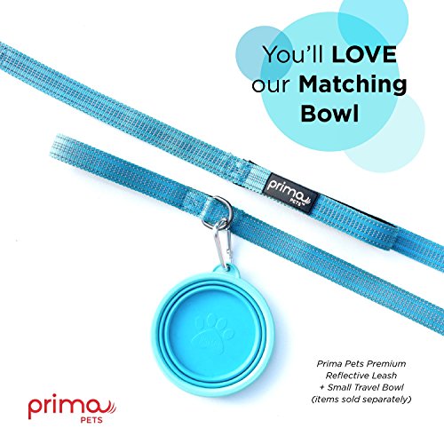 image for Prima Pets Reflective 4 Feet Nylon Dog Leash with Padded Double Handle
