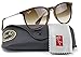 Ray-Ban RB4171 865/13 Erica Sunglasses Tortoise Frame / Brown Gradient Lens