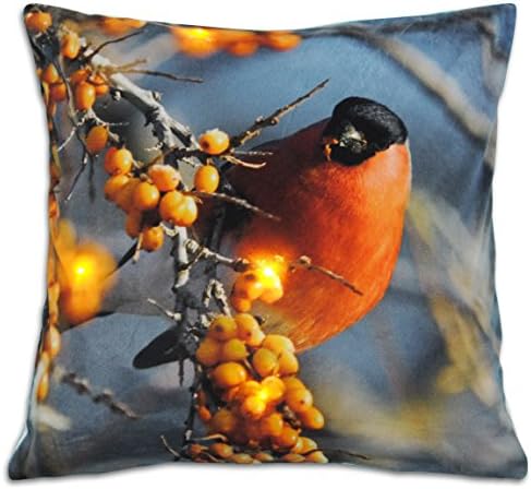 LED Throw Pillow Cushion Cover  50x50cm(20x20 inch) 2 themes (Bird)