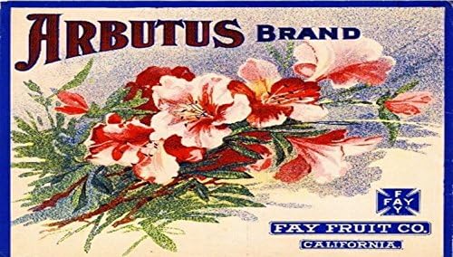 Los Angeles Arbutus Flowers Fay Fruit Orange Citrus Fruit Crate Label Art Print