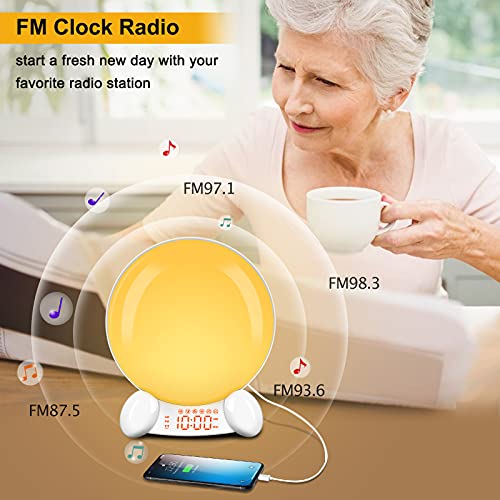 DreamSky Digital Alarm Clock Radio Wake Up Light Clock for Bedroom