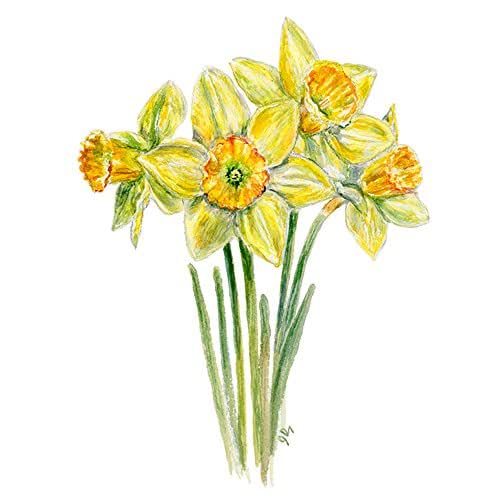 Daffodil Art Print Daffodils Wall Art, Daffodil Wall Decor