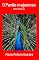 Livro O Pavão Majestoso