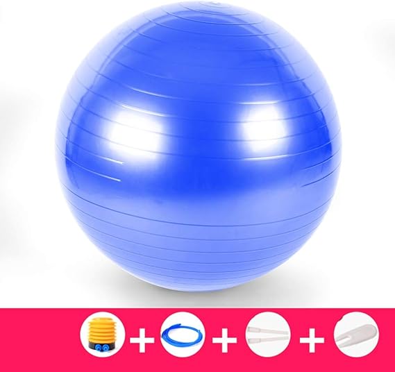 TRER Pelota de Yoga Pilates Fitness Ball Ejercicio Gimnasia ...