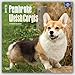 Pembroke Welsh Corgis 2017 Calendar