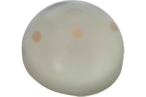 Breast Ultrasound Phantom (Translucent)