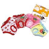 Alfie Pet Apparel - Torri Diaper Dog Sanitary Pantie 4-Piece Set - Size: XL (for Girl Dogs)